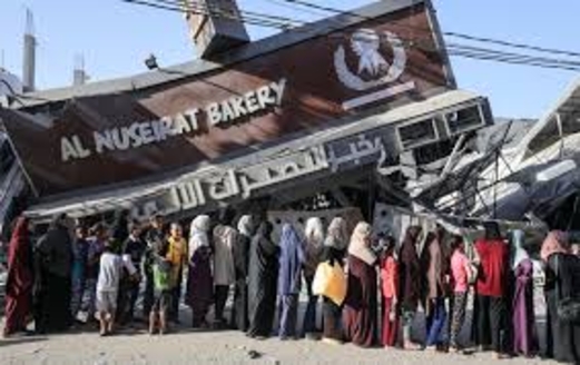  البرازيل: لا حدود أخلاقية أو قانونية للعدوان الصهيوني على غزة 