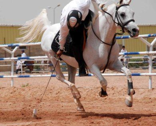 غدا الاثنين .. انطلاق بطولة الفروسية في صنعاء