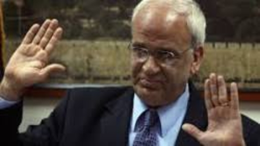 مسؤول فلسطيني: أي حل لايستند الى تجسيد استقلال دولة فلسطين مرفوض جملة وتفصيلا