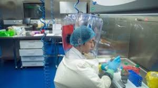 الصين تطلق تحذيرا من الدرجة الثالثة بعد ظهور بكتيريا خطيرة