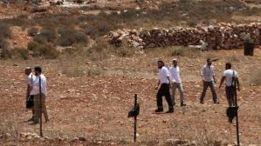 مواطنون يتصدون لمحاولة مستوطنين الاستيلاء على أرض شرق الخليل