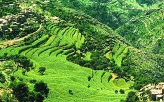 السيادة الغذائية… قراءة في مضامين مشروع “الطحين المركب”