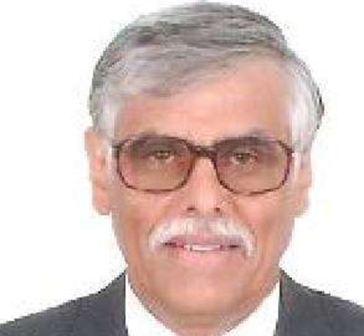 حماقة فرنسية