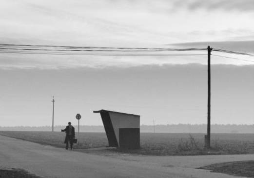 الإسلاموية: اشتراكية أم بربرية