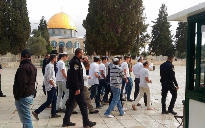 1059 مستوطنًا يقتحمون المسجد الأقصى خلال أسبوع
