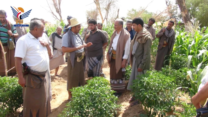 هزاع وقريعه يطّلعان على احتياجات مديرية الجوبة بمأرب 