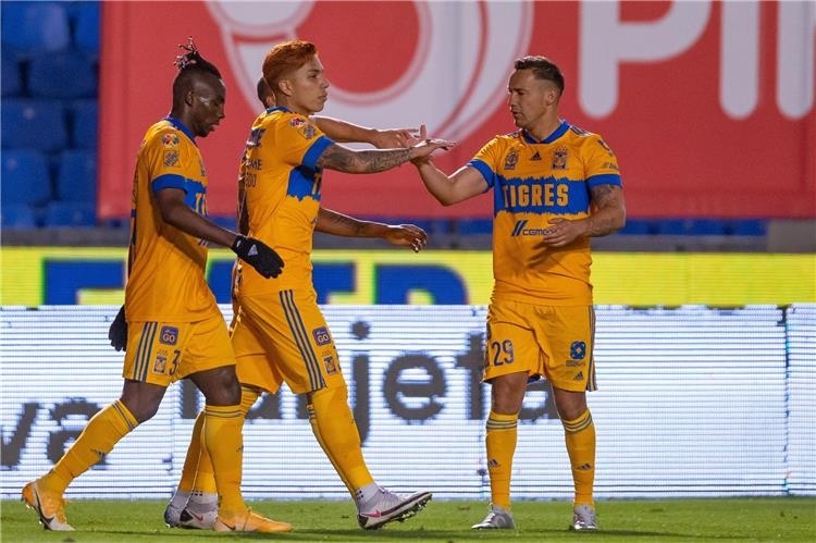الدوري المكسيكي.. تعادل تايجرز وتولوكا في ذهاب نصف النهائي