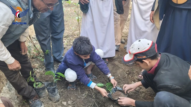 تدشين زراعة البن في المدارس المحورية بمحافظة حجة