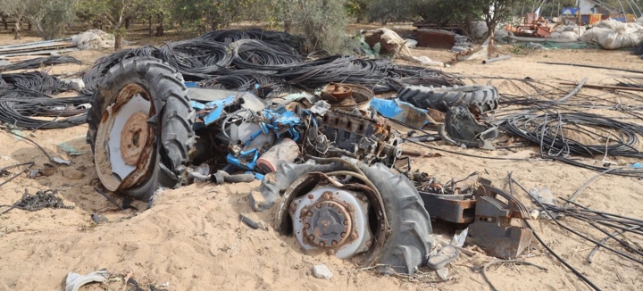 مسؤول حكومي في غزة لـ "سبأ": العدو الصهيوني يعطّل إنقاذ القطاع الزراعي