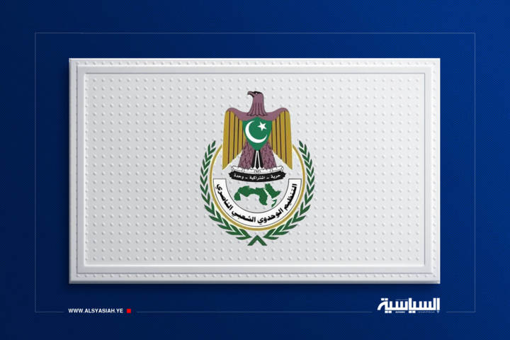 التنظيم الوحدوي الشعبي الناصري يُدين جرائم العدو السعودي ومرتزقته