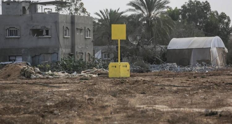 زراعة غزة: أكثر من 30 ألف دونم خارج الإنتاج بسبب "الخط الأصفر"