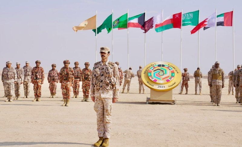 الأنظمة الخليجية لا تحترم جيرانها