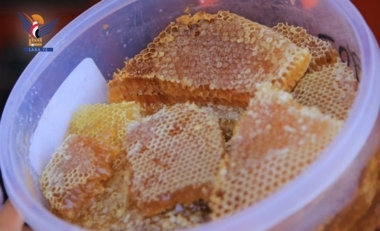 العسل اليمني... من مورد طبيعي إلى ركيزة واعدة للصناعة الدوائية