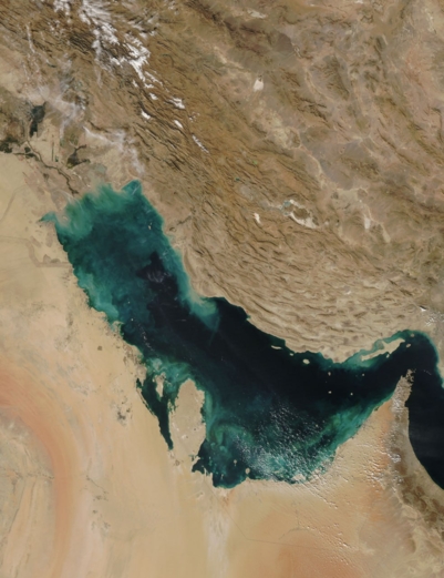 الثورة الإسلامية في إيران وفضلها على دول الخليج
