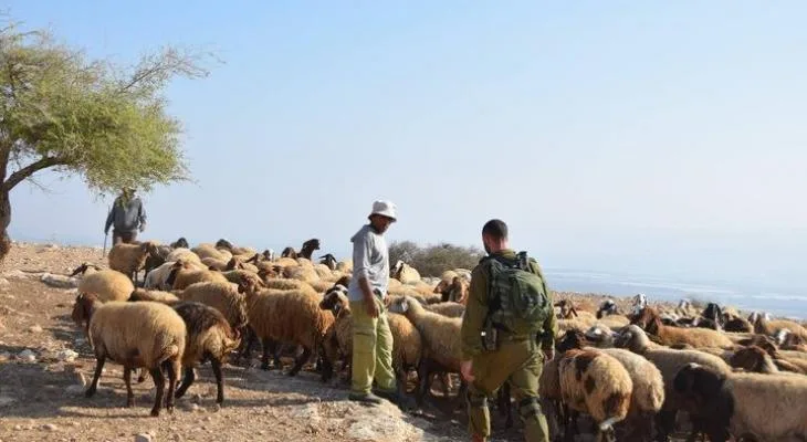 مستوطنون صهاينة يصعّدون اعتداءاتهم على الفلسطينيين في الضفة الغربية