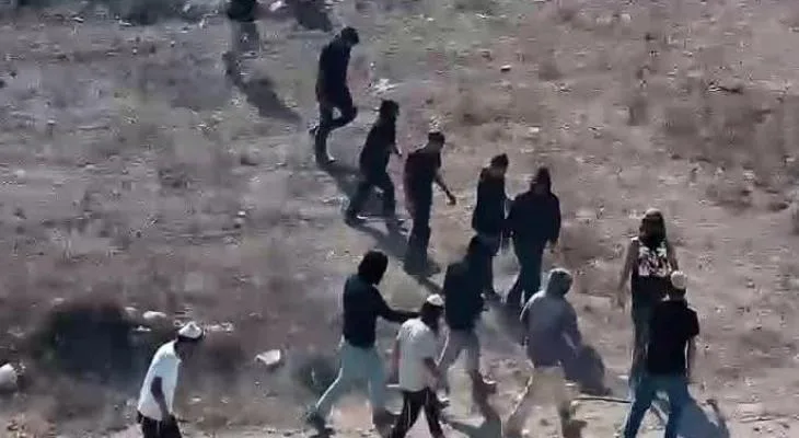 جنين: مستوطنون يعتدون على طواقم شركة الكهرباء وينفذون جولات استفزازية 