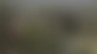 استشهاد طفل فلسطيني برصاص المستوطنين شمال شرق الخليل
