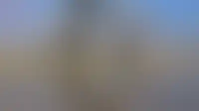 انخفاض أسعار النفط مع زيادة الإمدادات