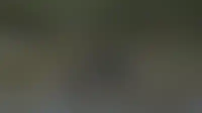 العدو الصهيوني يطلق نيرانه باتجاه الأحياء السكنية في الجنوب السوري