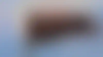 بيونغ يانغ تتوعد بتعزيز الردع النووي رداً على مناورات أمريكية-كورية