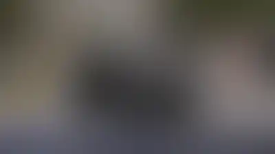 العدو الإسرائيلي يقتحم دورا القرع شمال رام الله ومستوطنون يقتحمون أطراف قرية المغير