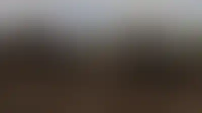 سوريا .. العدو الإسرائيلي يتوغل في دمشق والقنيطرة ويطلق النار على مزارعين