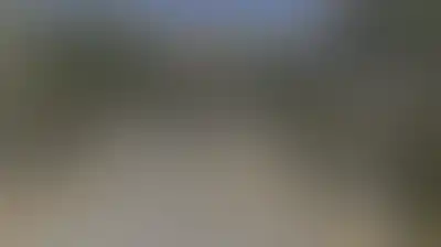  "إسرائيل" تستعد لـ"حرب شاملة" في الضفة الغربية