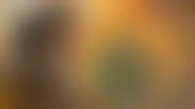 الشهيد السيد حسن نصر الله والهوية الوطنية اللبنانية