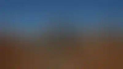 العدو الإسرائيلي يواصل تجريف أراضي دير بلوط غرب سلفيت ويجري تحقيقا ميدانيا في اليامون غرب جنين