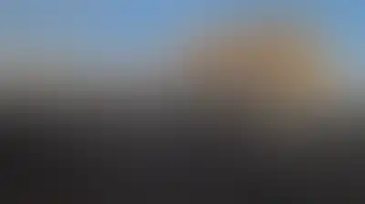 سياسي أنصار الله: جريمة العدو السعودي باستهداف إصلاحية الجوف لا يمكن أن تمر دون رد وعقاب