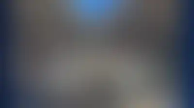 وقفات بالعاصمة والمحافظات إعلانا للجهوزية الجماهيرية للمشاركة الملايينية في المهرجانات المحمدية