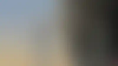 الرياض تحصد الموت