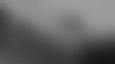حقيقة الصحابة في القرآن الكريم