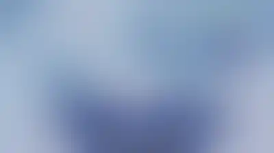 رضائي: أهلاً بكم في النظام ما بعد الأمريكي في الخليج الفارسي
