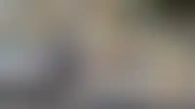 مستوطنون يواصلون اعتداءاتهم في الضفة والعدو الإسرائيلي يفرض حصاراً على حارة بالخليل