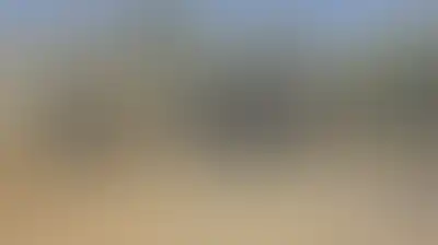 قوات العدو الإسرائيلي تصعّد اعتداءاتها على الفلسطينيين في الضفة مع موسم قطف الزيتون