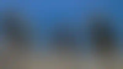 الخليل: العدو الإسرائيلي يعتقل شابا فلسطينيا عقب مهاجمة مستوطنين مساكن الفلسطينيين في يطا