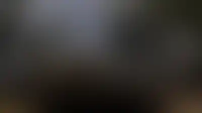 سوريا.. العدو الإسرائيلي يطلق قذيفتي هاون باتجاه قرية معرية في ريف درعا الغربي