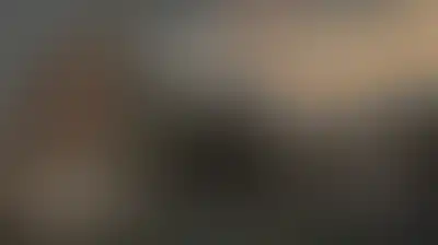 بلاد الحرمين ليست ملكًا لآل سعود