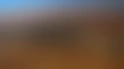 مصالح أمريكا قبل قواعدها العسكرية
