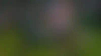 ريفر بلايت يتعادل مع سارمينتو في الدوري الأرجنتيني