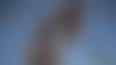 النفط يهبط 2% وسط محادثات إيران وعمان لفتح مضيق هرمز