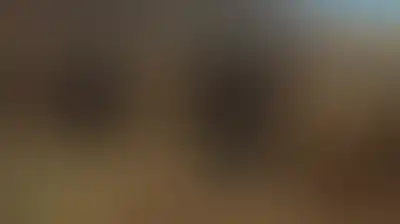 مستوطنون يعتدون على الفلسطينيين وممتلكاتهم في الضفة أو القدس