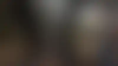 "العفو الدولية": نظام الفصل العنصري الإسرائيلي يحول موسم حصاد الزيتون إلى رعب للفلسطينيين
