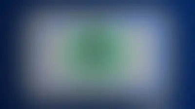 عهد الأنصار للرسالة يتجدد في اليمن