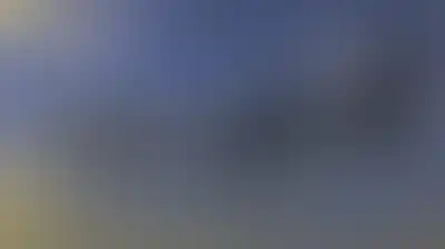 القوات المسلحة اليمنية تسقط مُسيّرة سعودية متطورة ومسلحة في سماء تعز