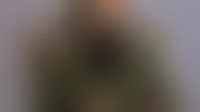 كل جيوش العرب ميليشيات