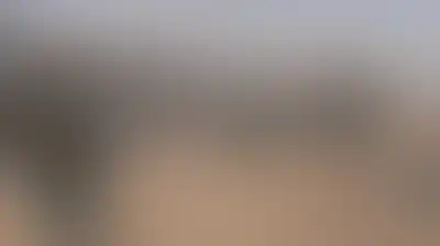 مركز حقوقي: نقل "إسرائيل" لركام غزة بمثابة إعدام معنوي لآلاف المفقودين تحت الأنقاض