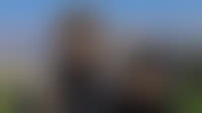 تراجع تعليم الفتيات النازحات في لبنان ينذر بالخطر