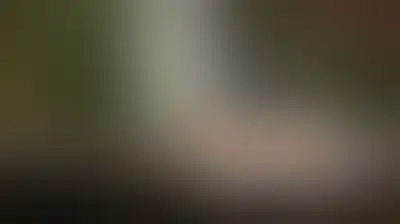 العدو الصهيوني يخطر هدم نصب تذكارية للشهداء في الضفة